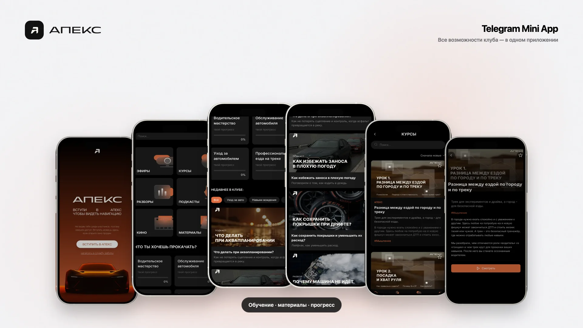 APEX Mini App features
